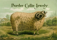 bordercolliejewel