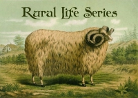 rural_lifen